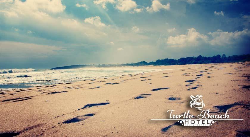 Turtle Beach Hotel Ujunggenteng Pokój zdjęcie